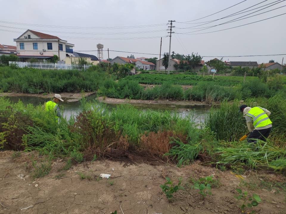 QQ圖片20250807092715